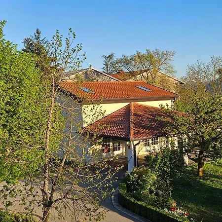 Kompara * Ajdovscina